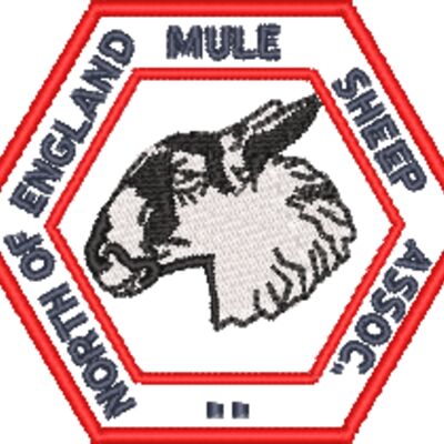 NEMSA navy text no fill Thumbnail